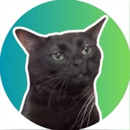 Gato Irônico 🐈⬛
