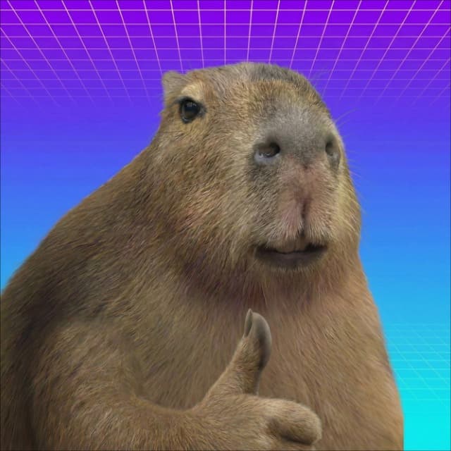 Memes Melted Videos
