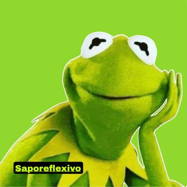 Sapocaco reflexivo