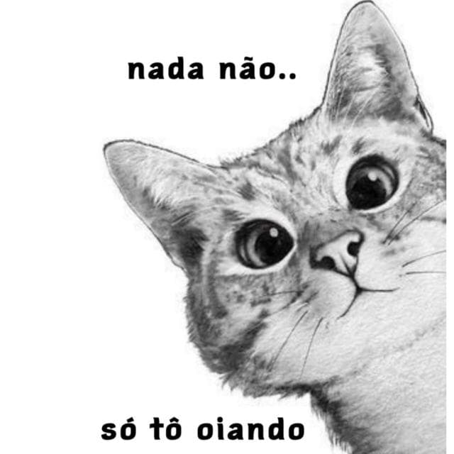 Nada Não Só Tô Oiando🤩🤣🤙🏻